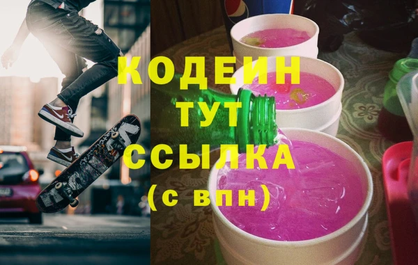 индика Богданович