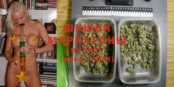 индика Богданович