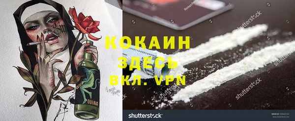 дурь Богородицк