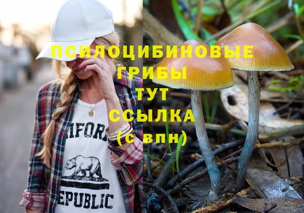 мяу мяу мука Богородск