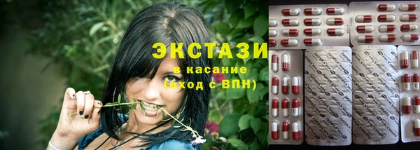 индика Богданович