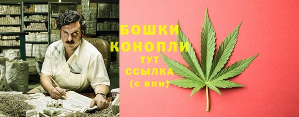 дурь Богородицк