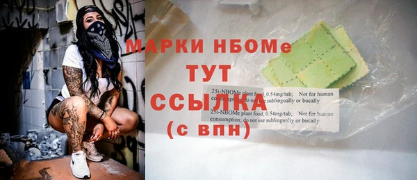 индика Богданович