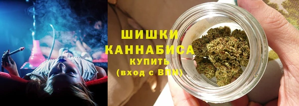 индика Богданович