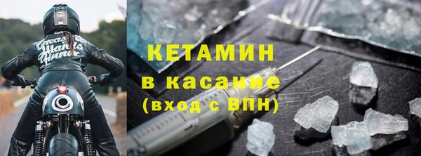 индика Богданович