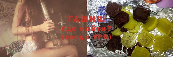 индика Богданович
