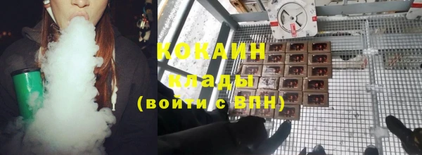 дурь Богородицк