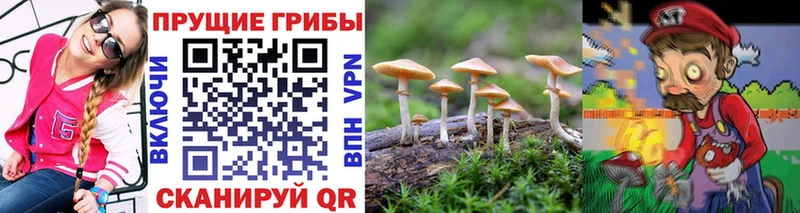 Галлюциногенные грибы Cubensis  Михайлов 