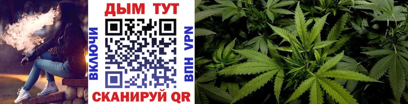 Бошки Шишки ГИДРОПОН  купить закладку  Михайлов 